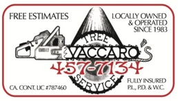 Vaccaro's Tree Service