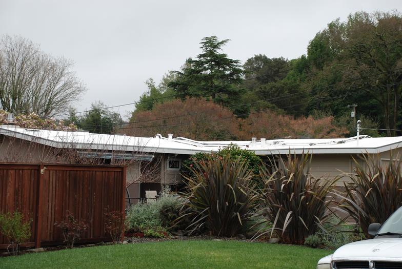 All Phase Roofing
