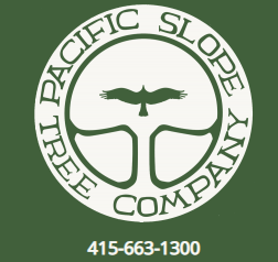 David Rivera Pacific Slope
