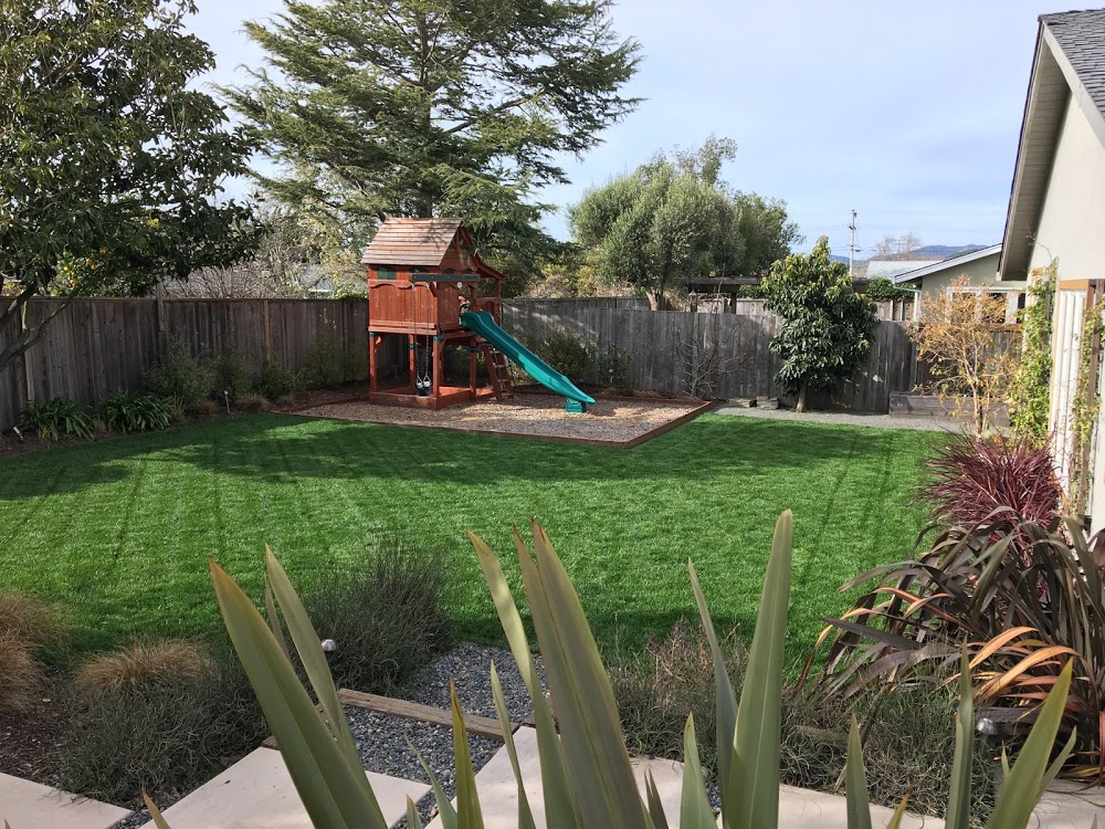 Clean Air Lawn Care