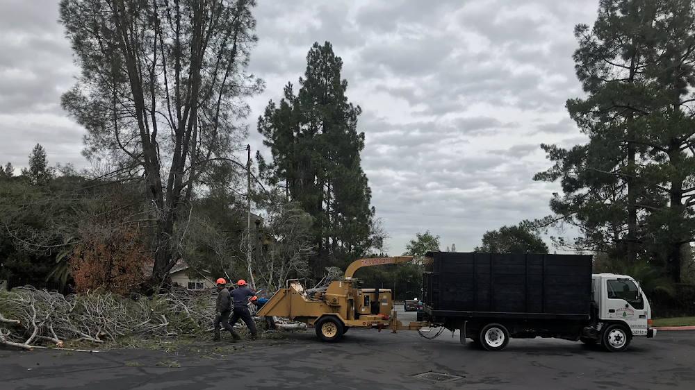 Fosec Jr Tree Service