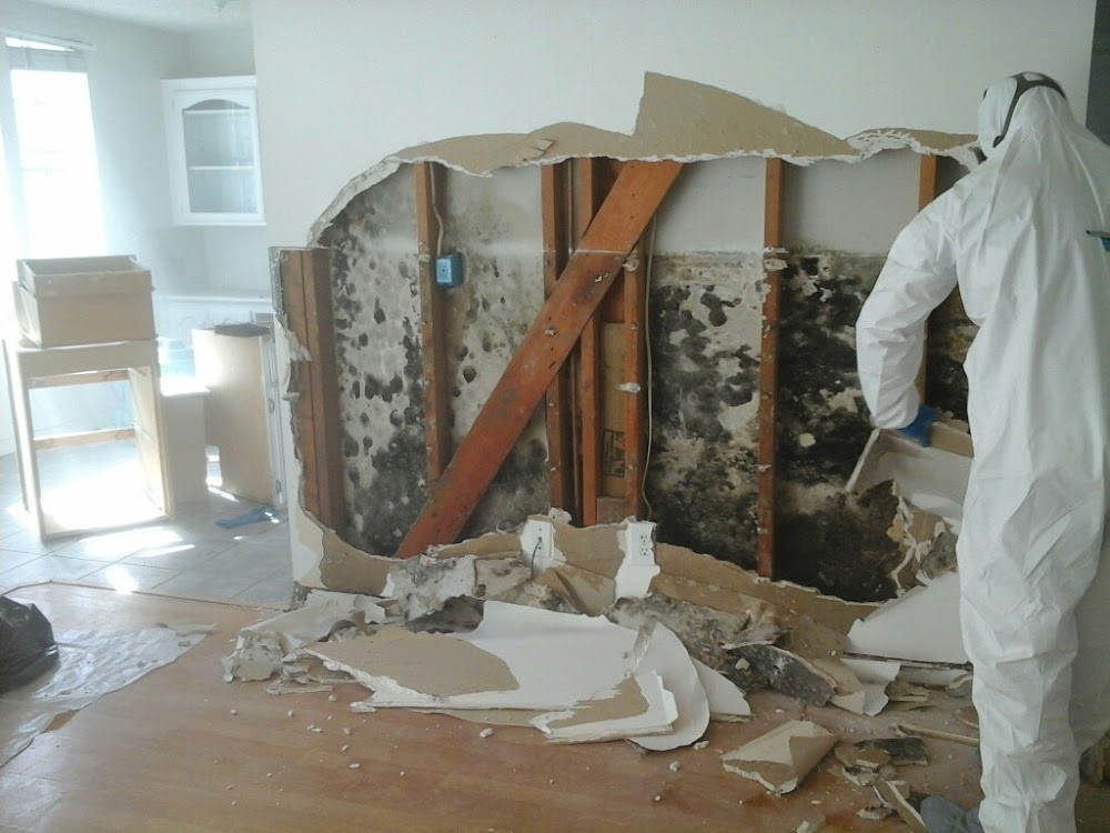 Tiburon Restoration Smoke Water Fire
