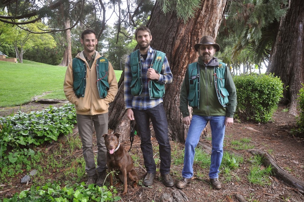 Urban Forestry Associates - Consulting Arborists