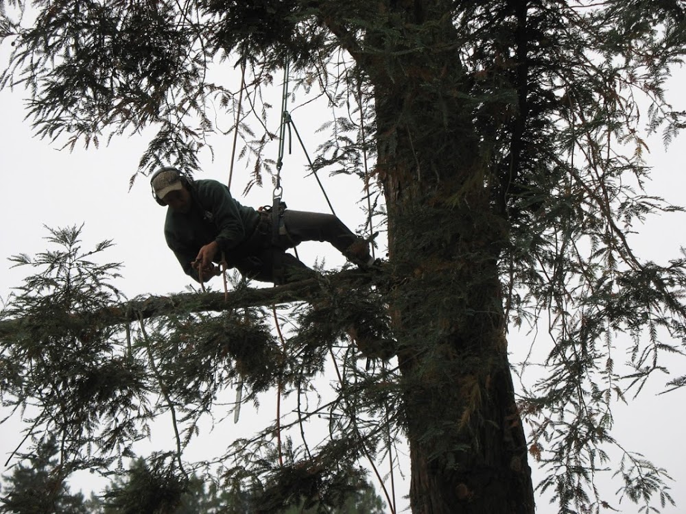 Valley Tree Service